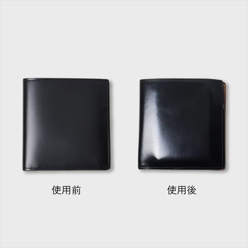 �Ɠ��̉������܂��o�N�ω�